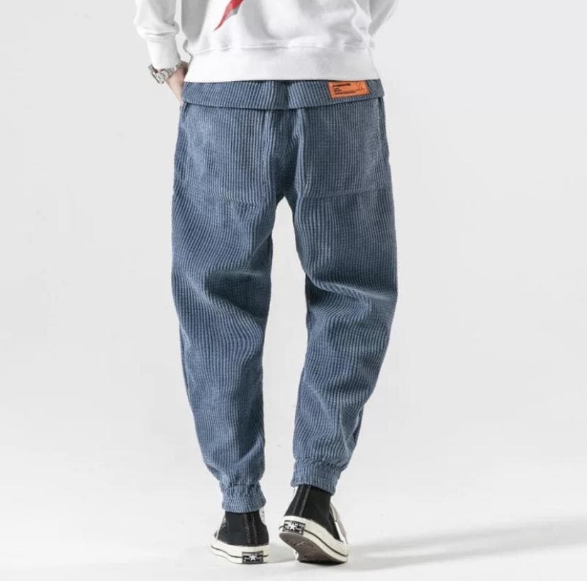 Pantalon homme - Levin - Little Paris