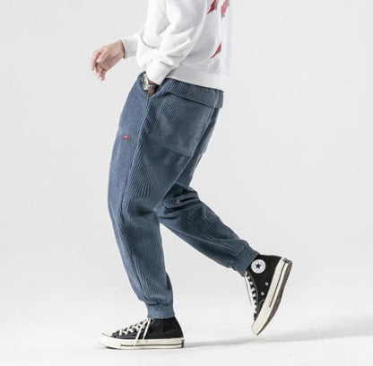 Pantalon homme - Levin - Little Paris