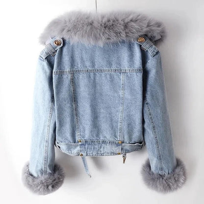 Veste - Zippi - Little Paris